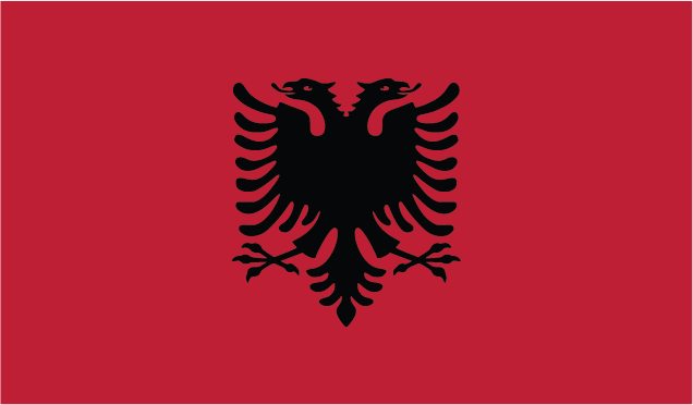 The flag of the player's nationality
