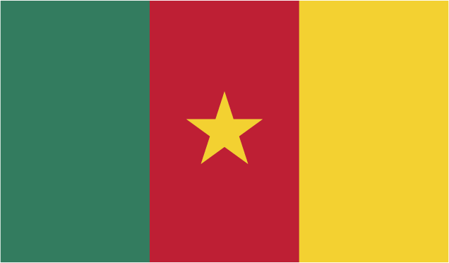 The flag of the player's nationality