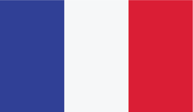 The flag of the player's nationality