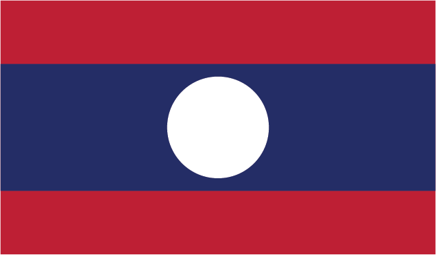 The flag of the player's nationality