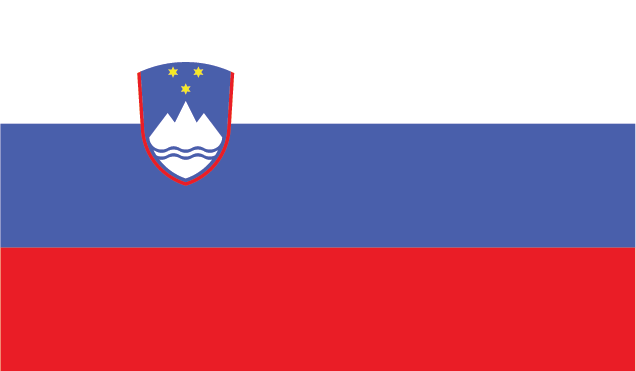 The flag of the player's nationality