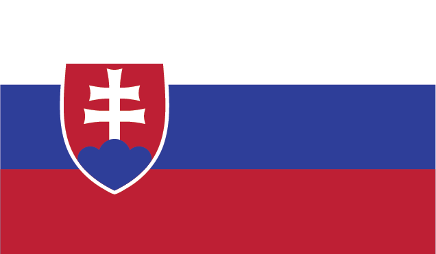 The flag of the player's nationality