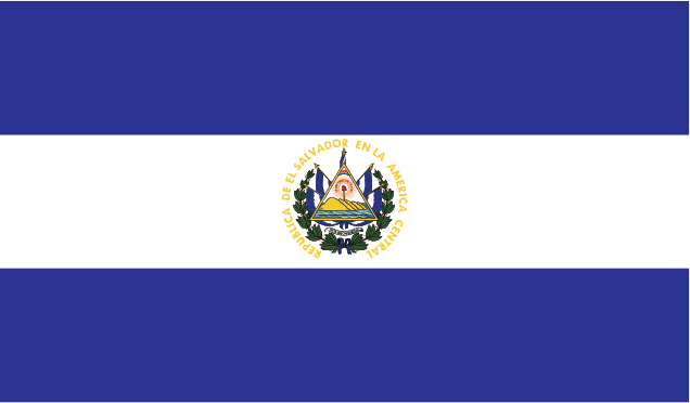The flag of the player's nationality